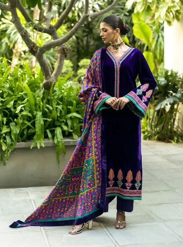 Winter VelVet Collections
